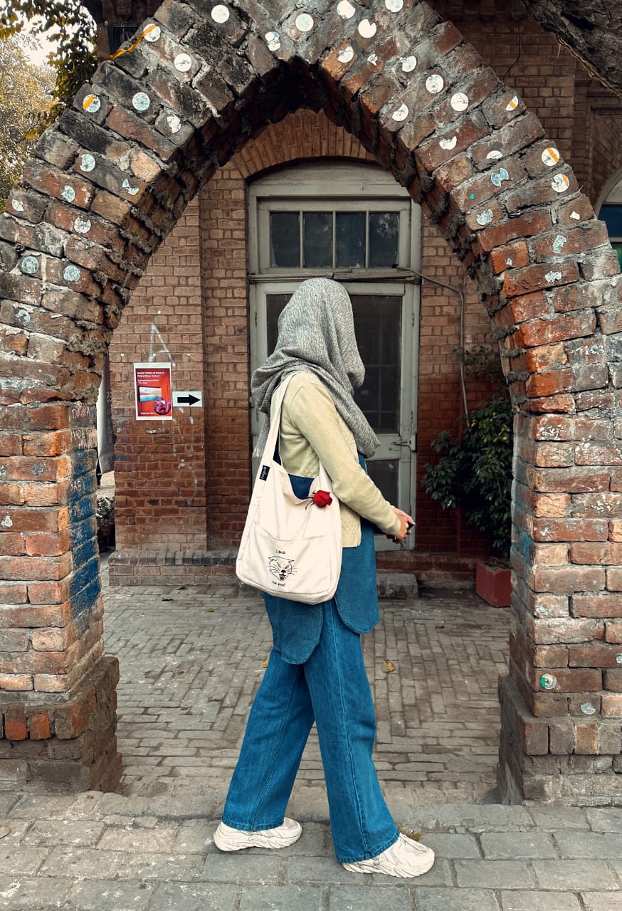Hobo Bag ( carry your mood )