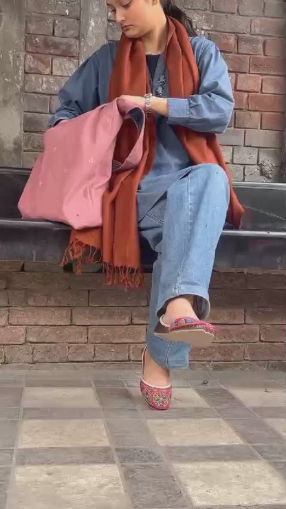 classic hobo bag